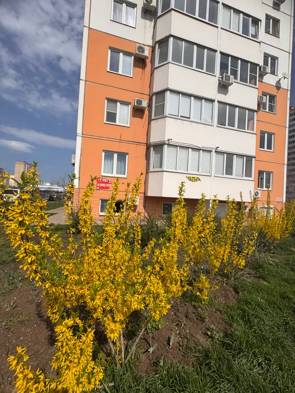 Квартира Квартира ЖК Восточный (парк Галицкого) — Краснодар