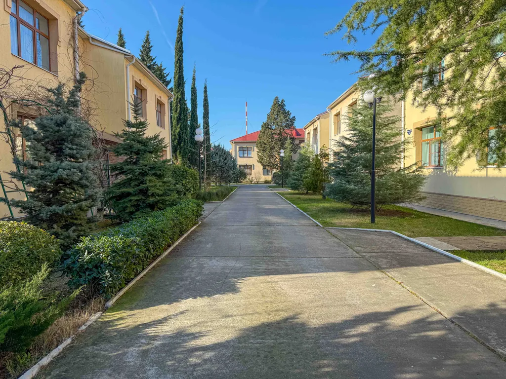 Орхидея парк Альфагид