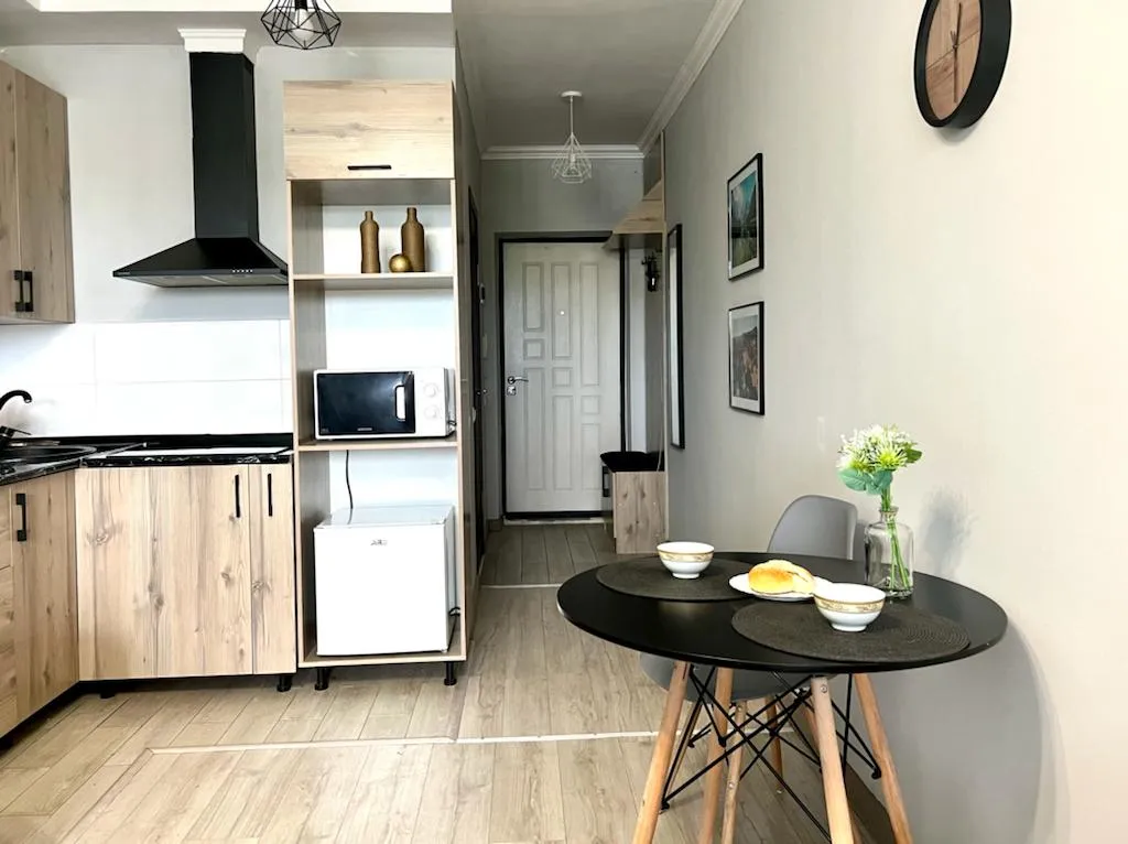 Студия Көктем с национальным колоритом и  видом на город