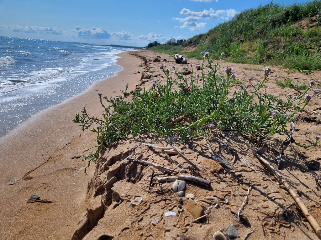 Коттедж Уютный дом на первой линии Азовского моря — Кучугуры
