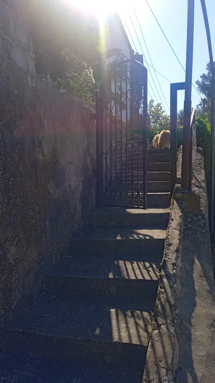 Квартира Уютная квартира с видом на море — Лазаревское