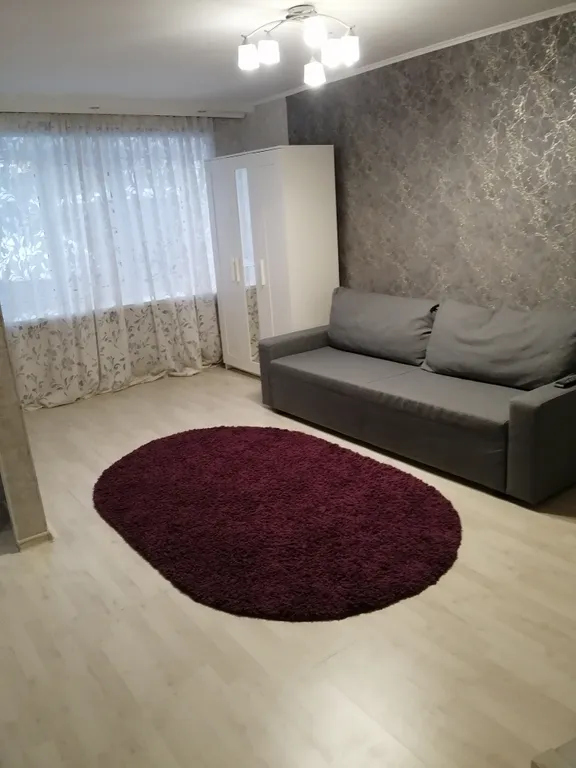 Уютная квартира в центре города — аренда посуточно в Барнаул