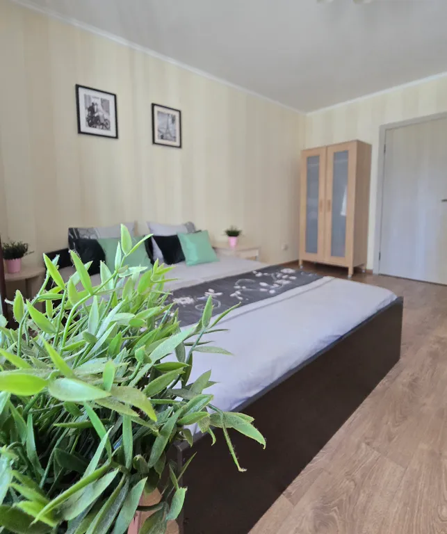 Квартира Студия в самом центре — аренда посуточно в Кудрово