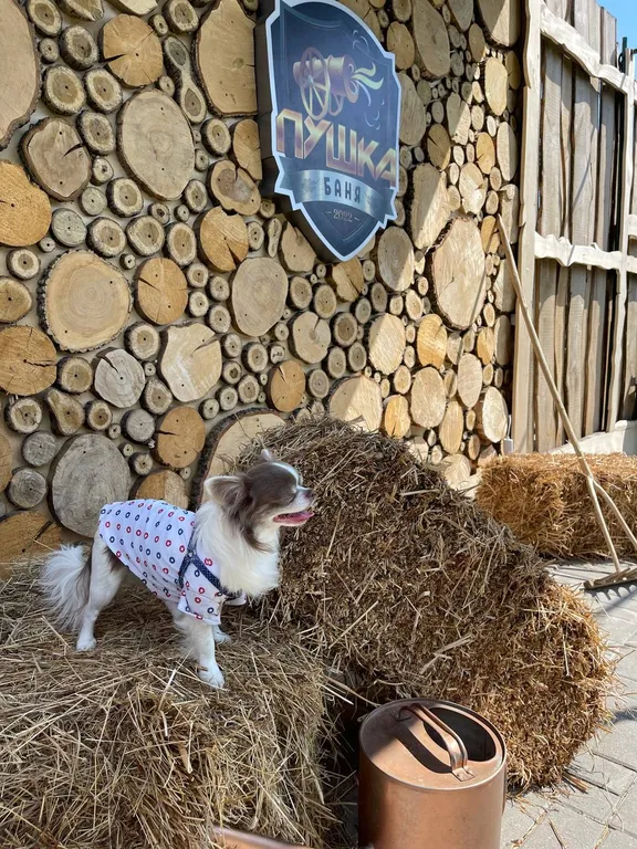 Дизайнерский коттедж из сруба