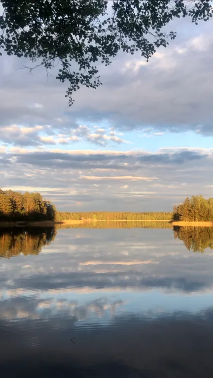Дом Panorama на берегу озера, утопающий в соснах, тишине и спокойcтвии
