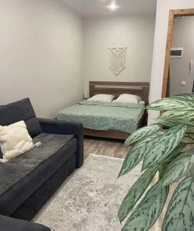 FreedomPskov квартира с видом на Кремль