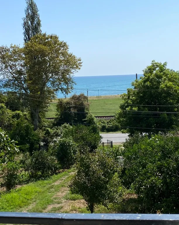 Отдых в Абхазии