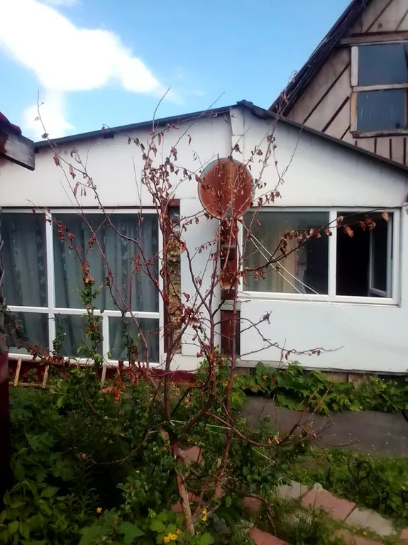 Отдых у Наташи