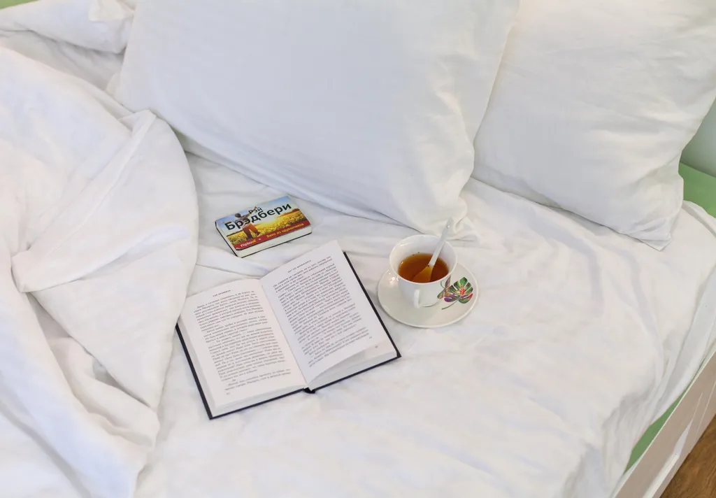 Квартира Уютные апартаменты рядом с морем — Светлогорск