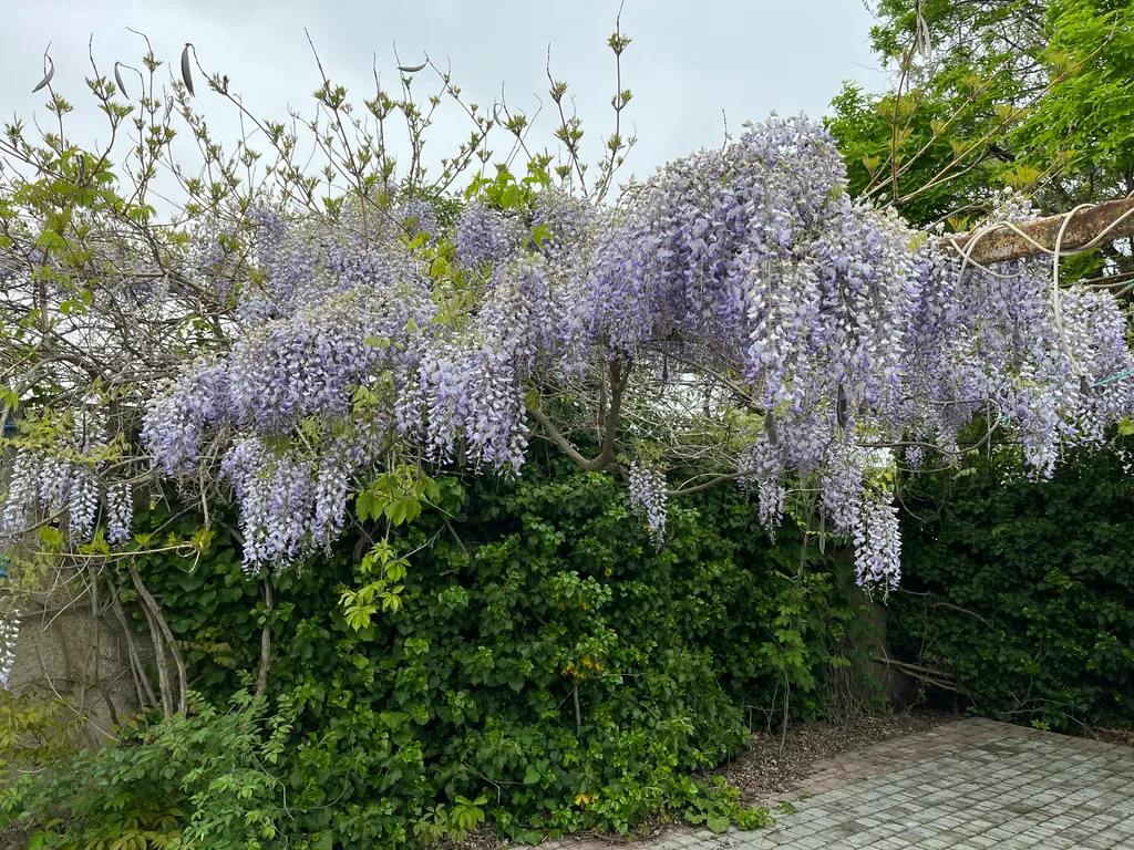 Уютная комната у моря