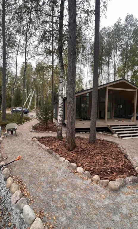 Уютный дом в сосновом лесу