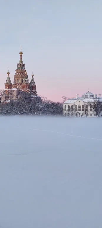 Большая квартира на Ольгином пруду.
