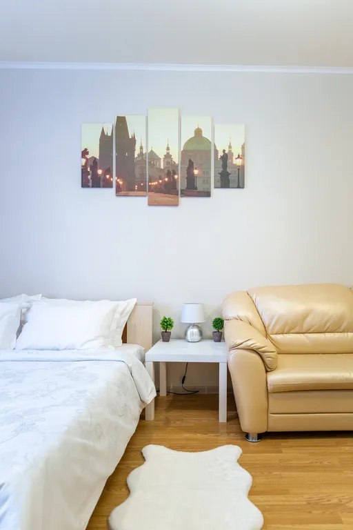 Апартамент рядом с Зыбицкой