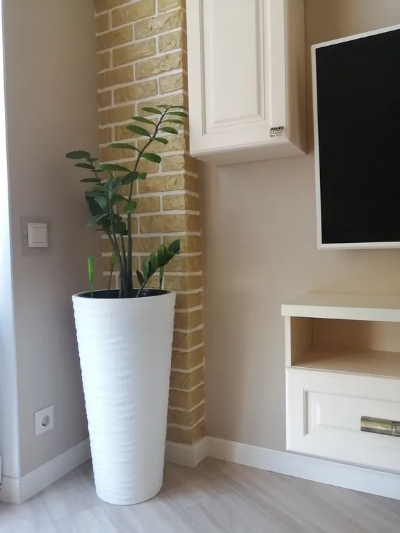 Апартаменты у моря