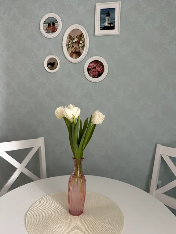 Уютная квартира возле Брестской Крепости