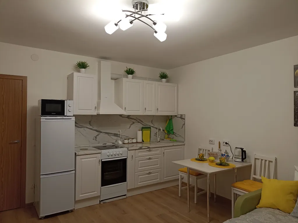 Квартира Квартира Уютная студия у НИИ имени Петрова с бесконтактным заселением — Песочный