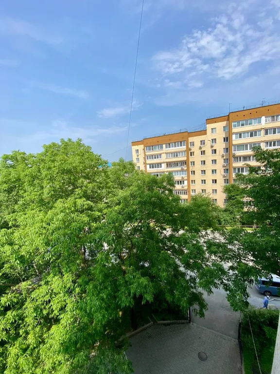Квартира Уютная квартира в центре города — Владивосток