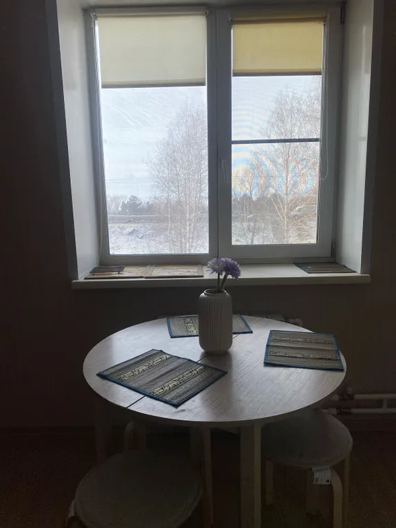 Квартира Уютная квартира в Советском районе — Новосибирск