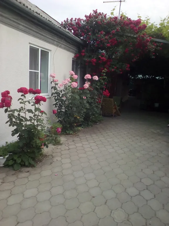 Уютная комната рядом с морем