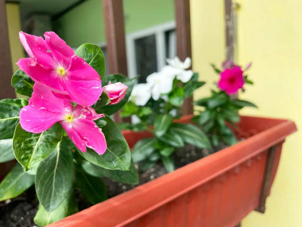 Квартира Комната — Анапа