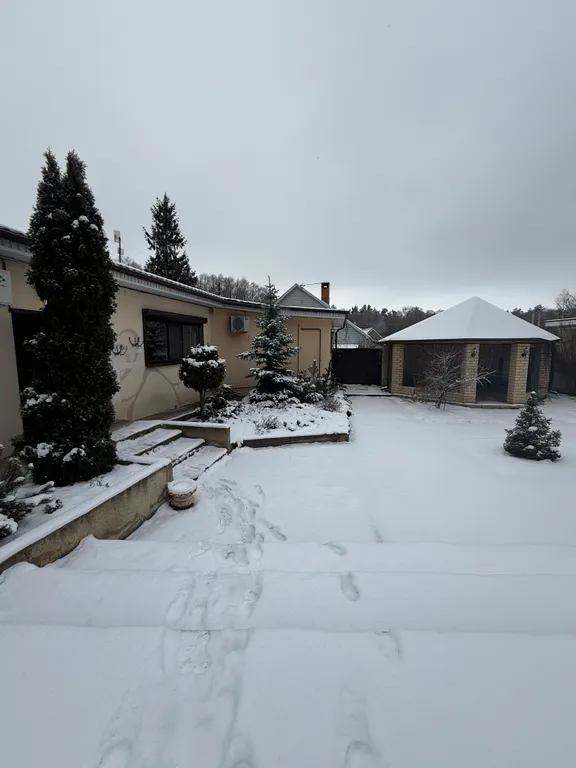 Уютный дом у леса