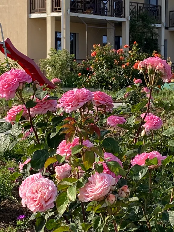 Квартира Квартира Стандартный трехместный номер — Витино