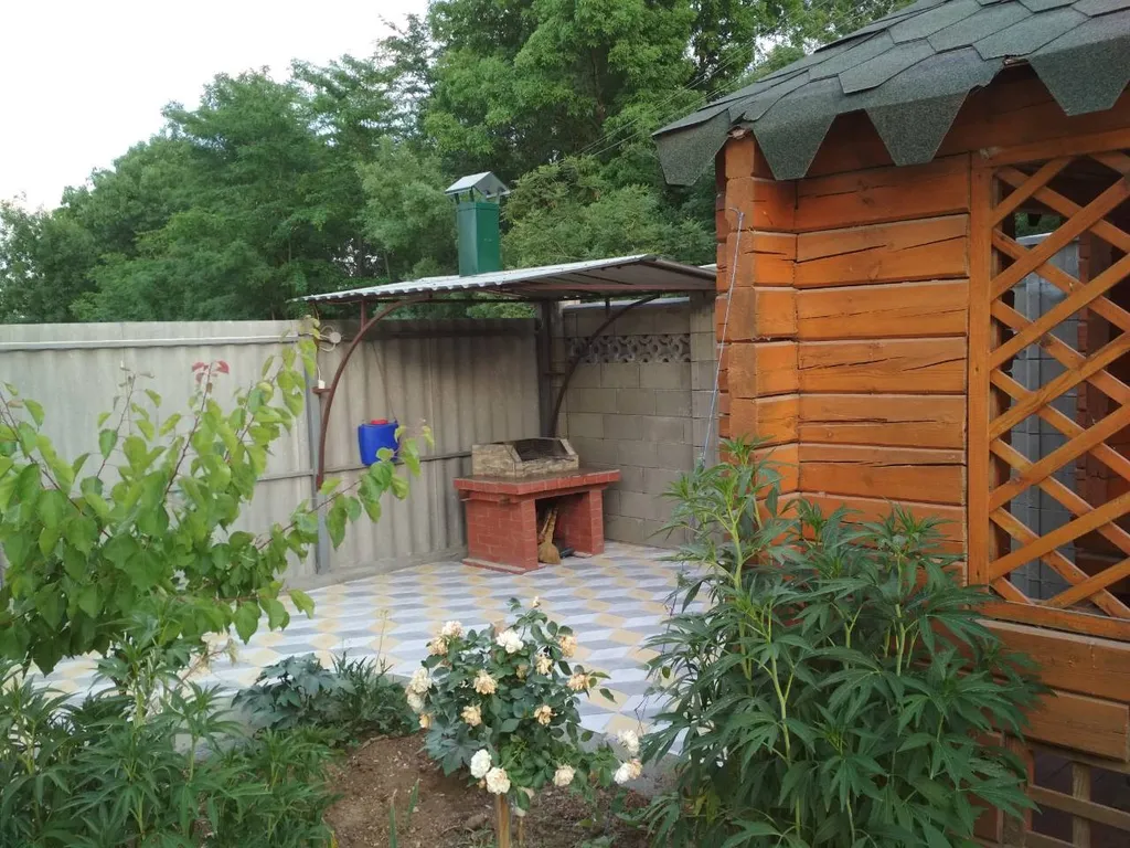 Коттедж 2-комнатный Дом — аренда посуточно в Саки