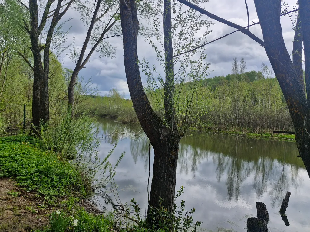 Коттедж А-фрейм с видом на озеро и лес — Казань