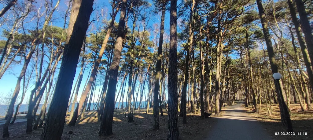 Квартира Квартира Апартамент в парке у моря — Пионерский