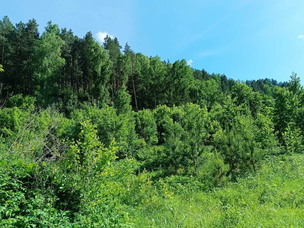 Дом Emirell Altai