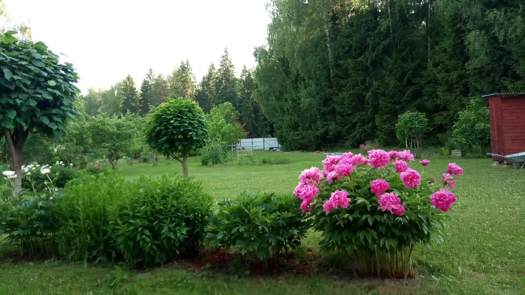 Коттедж Загородный уютный дом с баней и калиткой в лес — Большие Семенычи