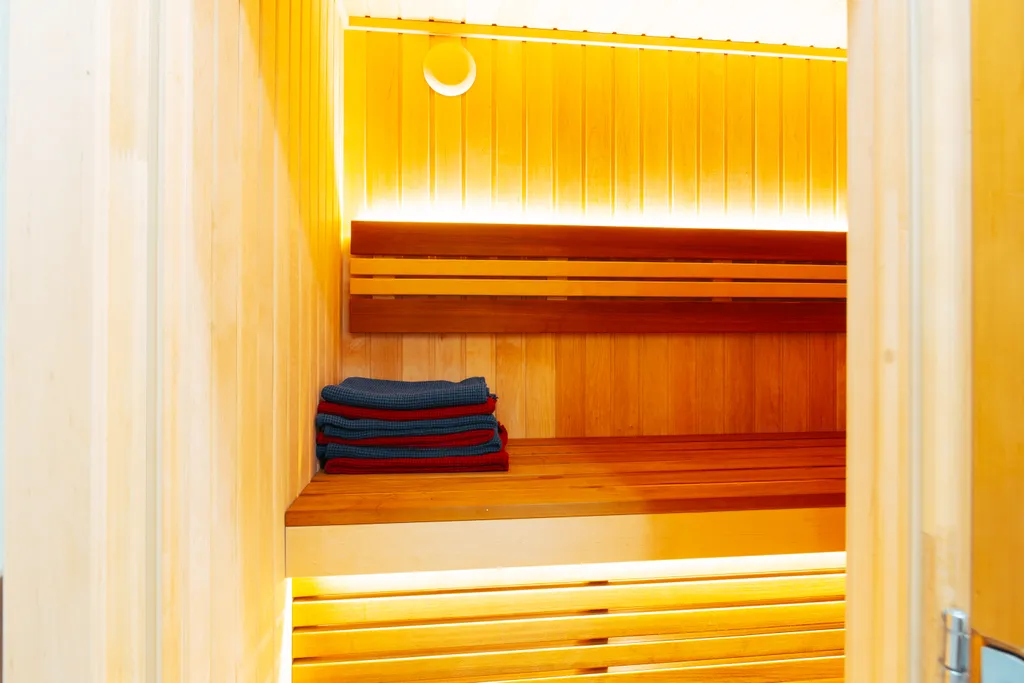 Квартира Апартаменты Охтапартлюкс с сауной и камином с 2-мя спальнями — аренда посуточно в Мистолово