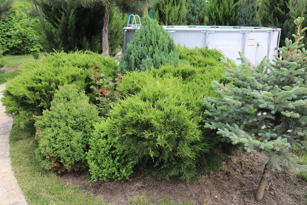 Загородный дом-шале "Pinebrook", аренда, у реки Дон. Сезонный бассейн.