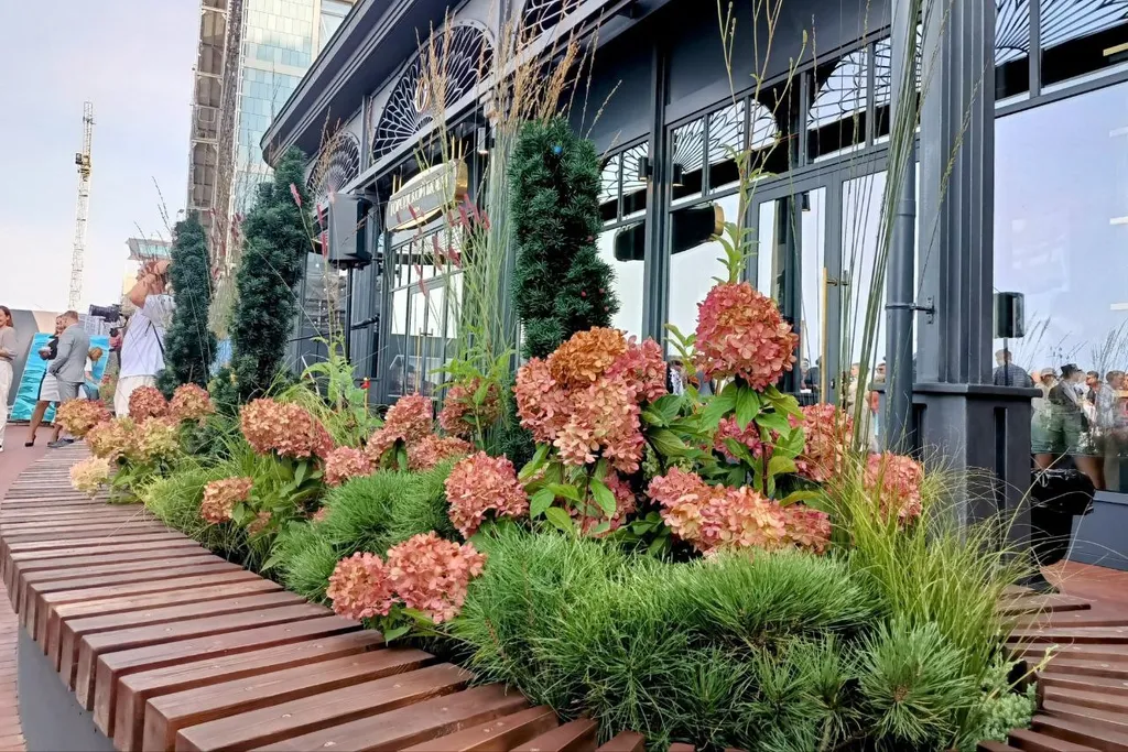 Квартира Апартаменты в самом сердце Светлогорска — Светлогорск