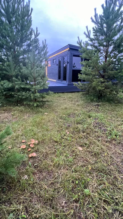 Панорамный дом с баней на дровах и чаном в окружении ёлок