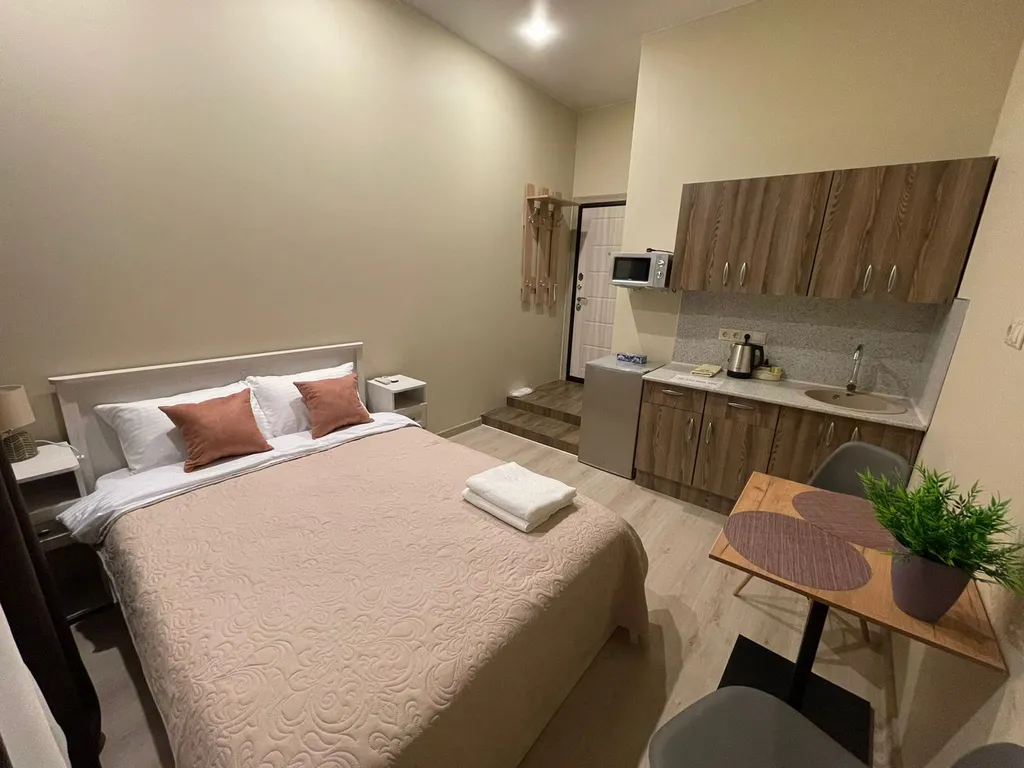 Уютная студия в Новом Пушкино