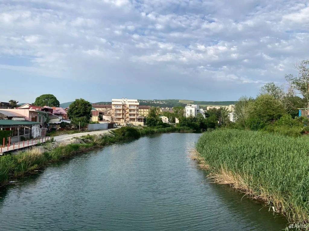Квартира с видом на лес и море