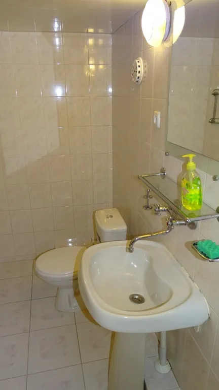 Однокомнатная квартира с двориком около дома Чехова