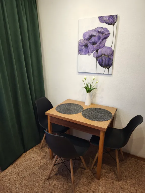 Уютная квартира с видом на реку Иртыш