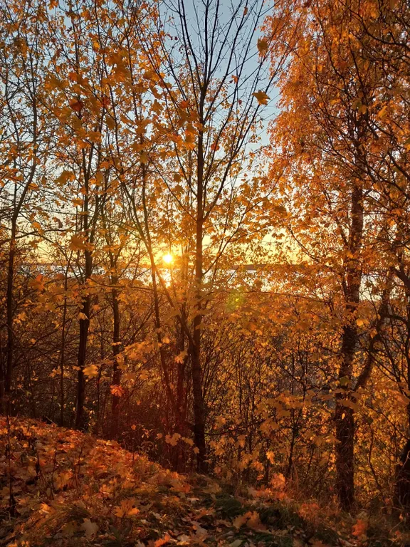 Благоустроенный стильный дом на 1 линии о.Селигер