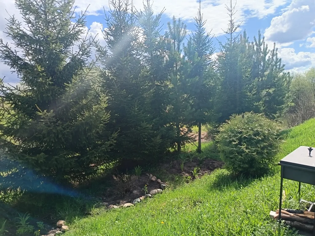 Уютный дом на родине Деда Мороза