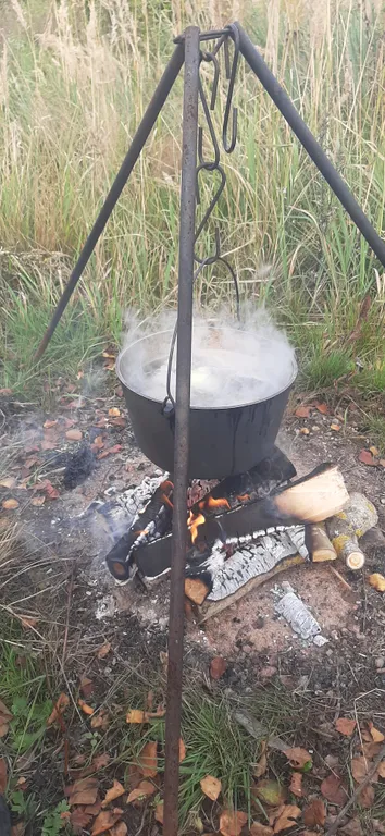 Загородный дом в лесу на Финском заливе
