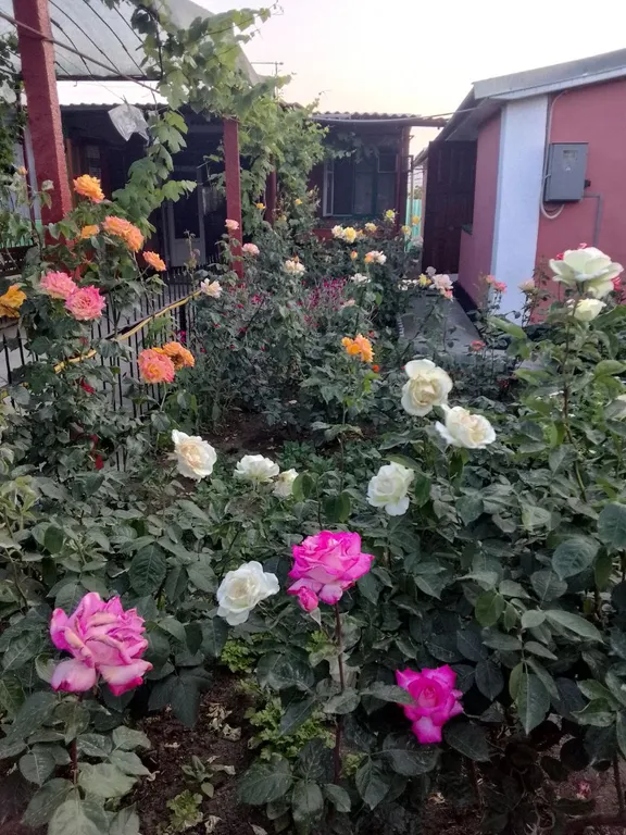 Квартира Комната — Феодосия