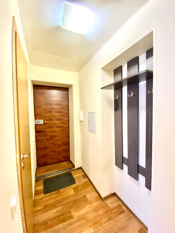 Уютная однокомнатная квартира в центре города