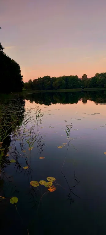 Дом с видом на озеро