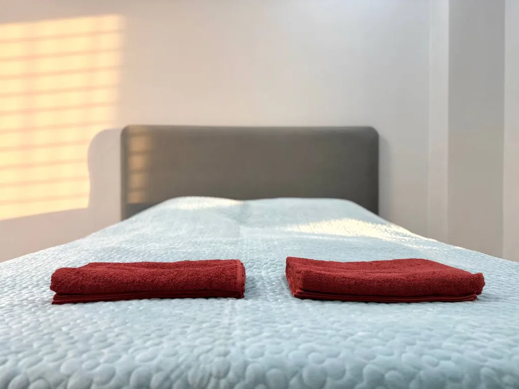 Уютные апартаменты в центре Бишкека