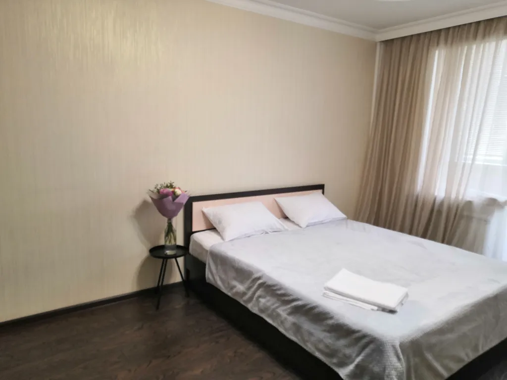 Квартира Квартира в центре на набережной реки Терек — Владикавказ