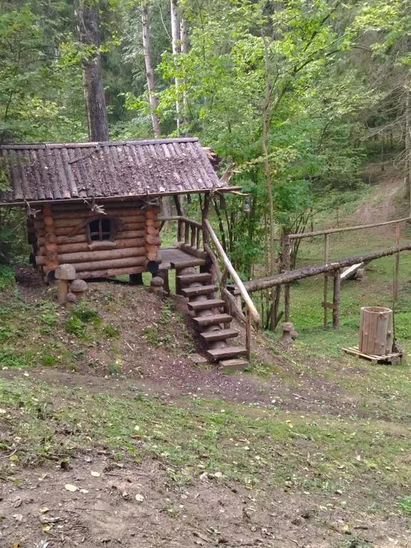 Коттедж Уютный дом в окружении векового леса — Рогачево