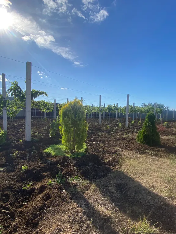 Уютный домик у моря