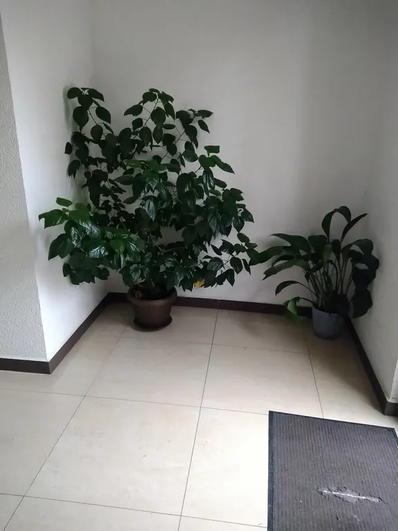 Студия на Соболевке